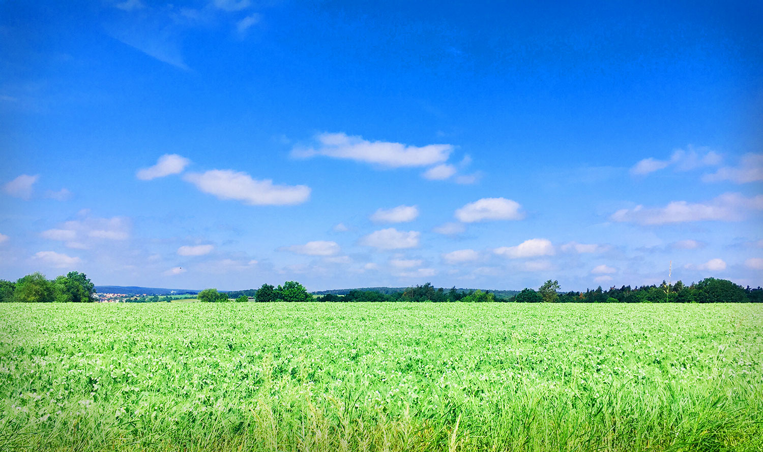 Sebastian Christoph Jacob